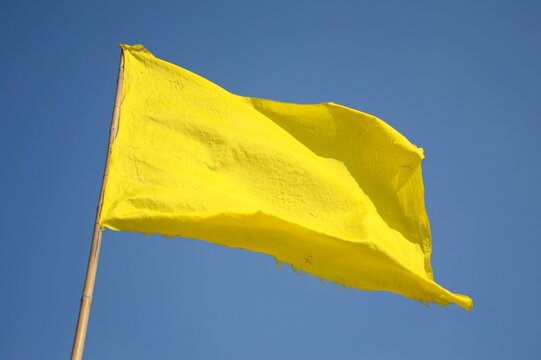 Yellow flag là gì?